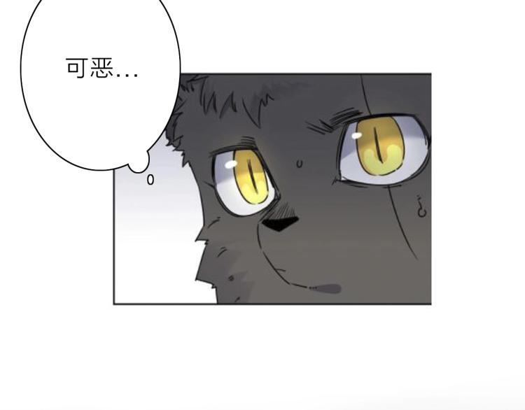 第26话  变身！(1/3)-第28话