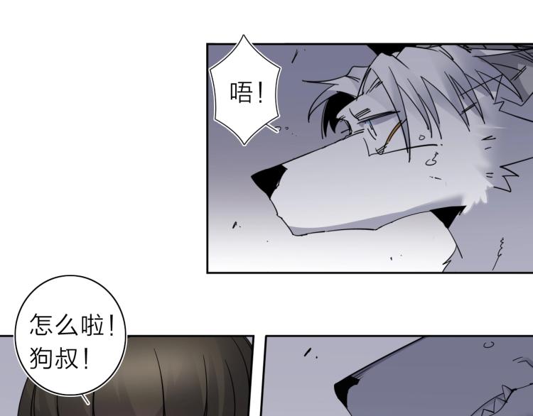 第28话 美少狗变身！(1/2)-第30话