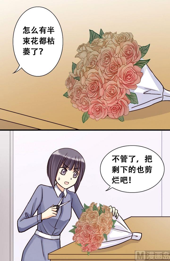 第22话 玫瑰被毁（二）-第22话