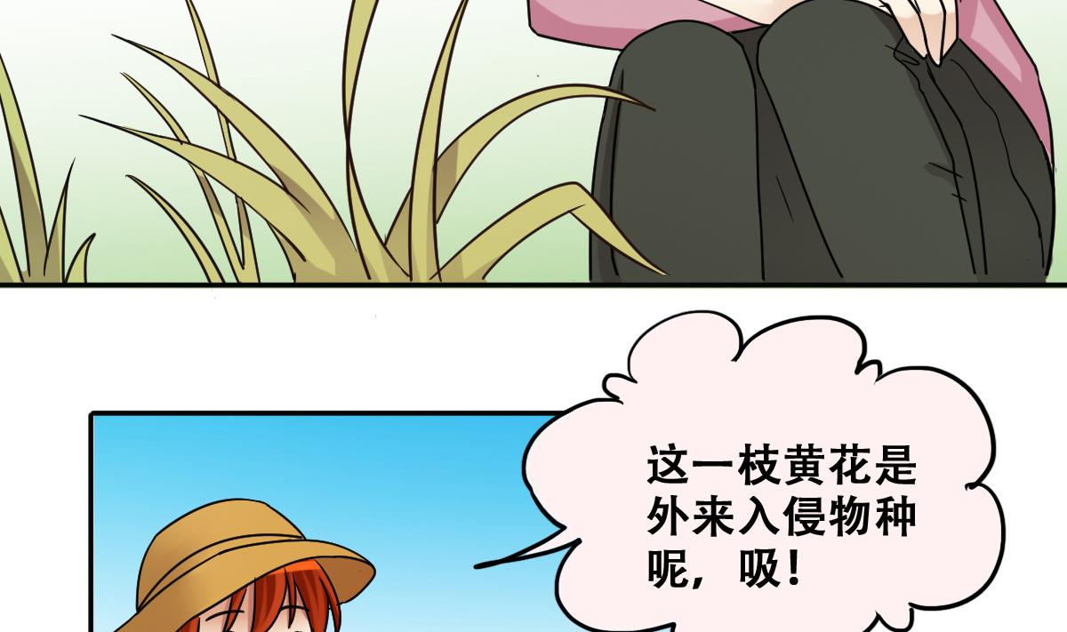 第275话 米圆卖药 2-第276话