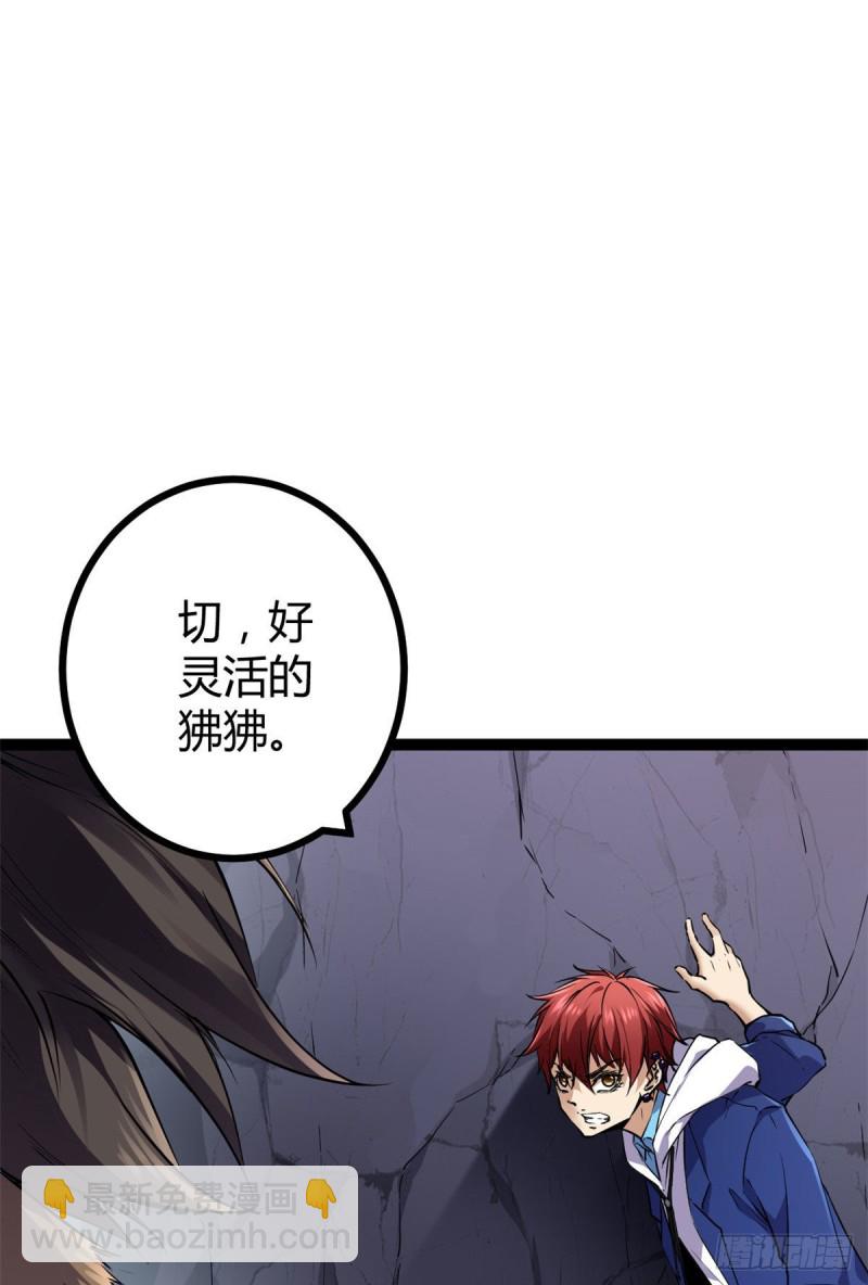90 奇怪的狒狒(1/2)-第92话