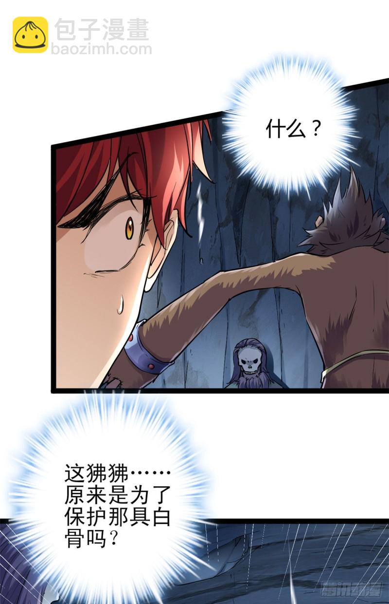 90 奇怪的狒狒(1/2)-第92话
