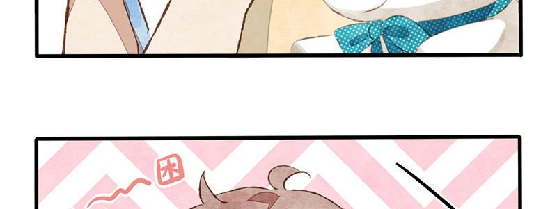 第5话 熊不是就爱吃鱼吗？(1/2)-第6话