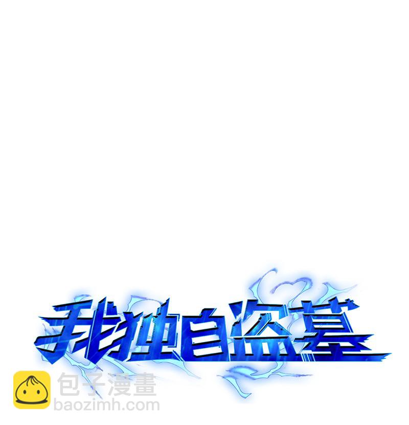 065 将军的报复(1/2)-第66话
