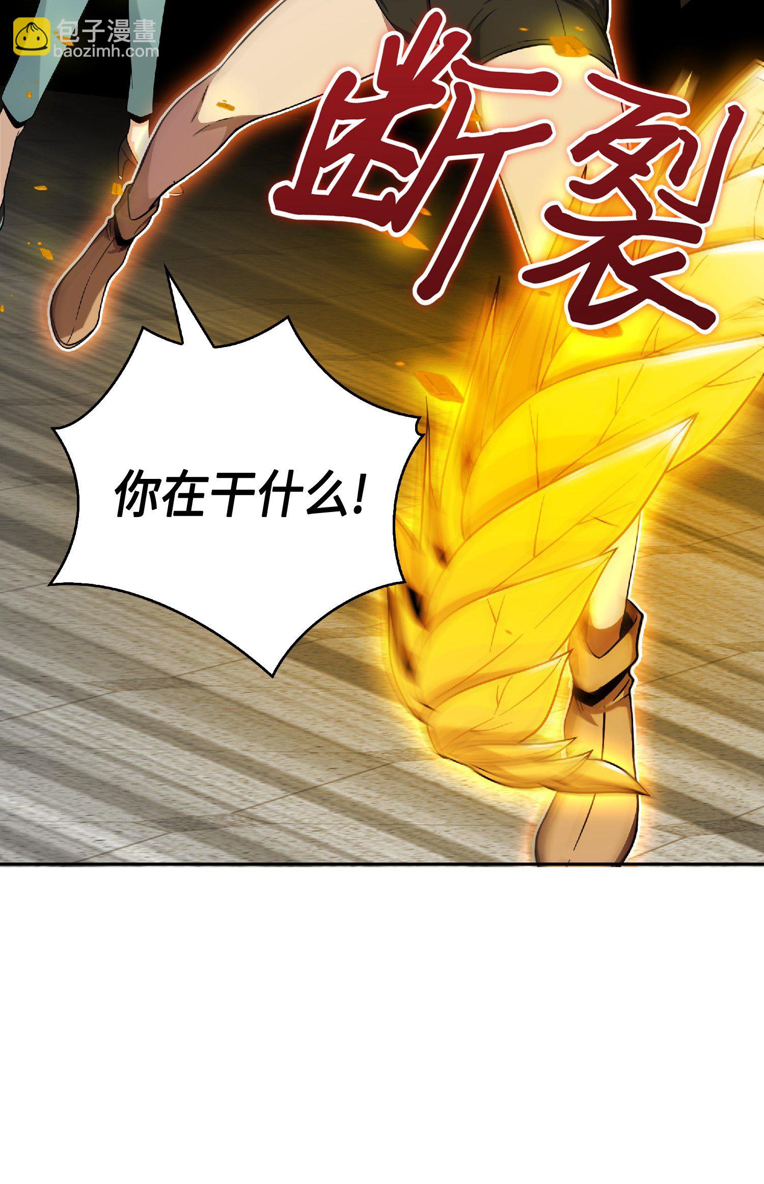 085 骗局的延续(1/2)-第86话