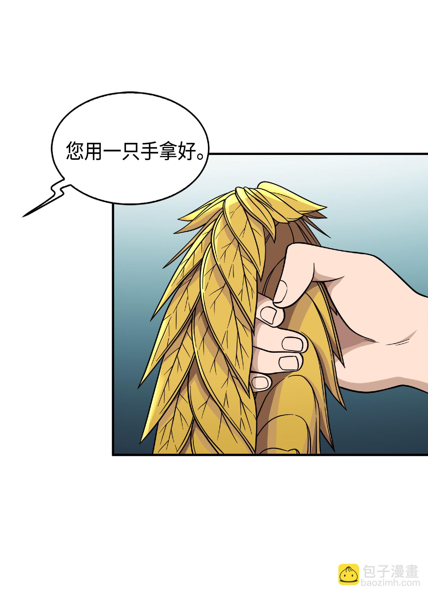 085 骗局的延续(1/2)-第86话