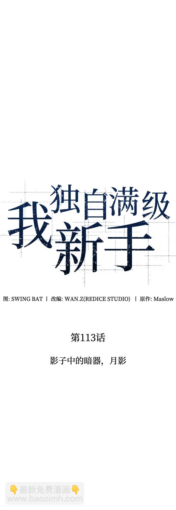 🍘我独自满级新手 [第113话] 影子中的暗器，月影 第13页