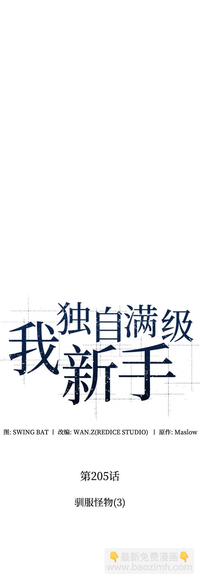 🍘我独自满级新手 [第205话] 驯服怪物(3) 第12页