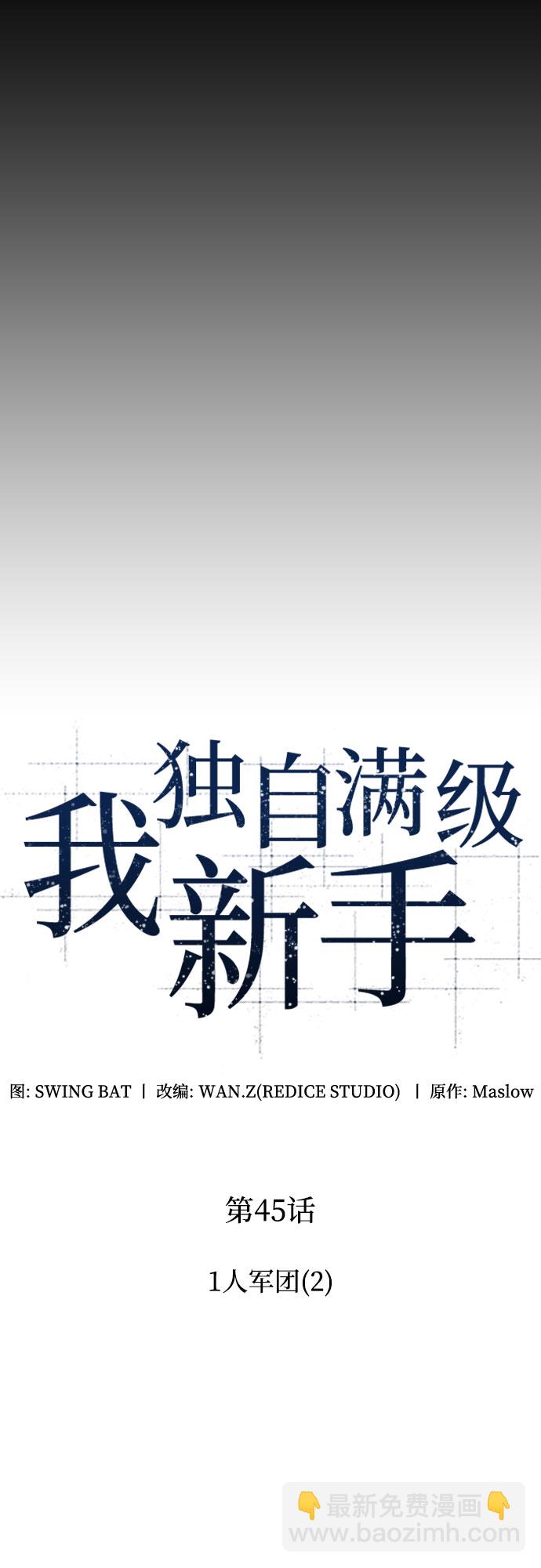 🍘我独自满级新手 [第45话] 1人军团（2） 第9页
