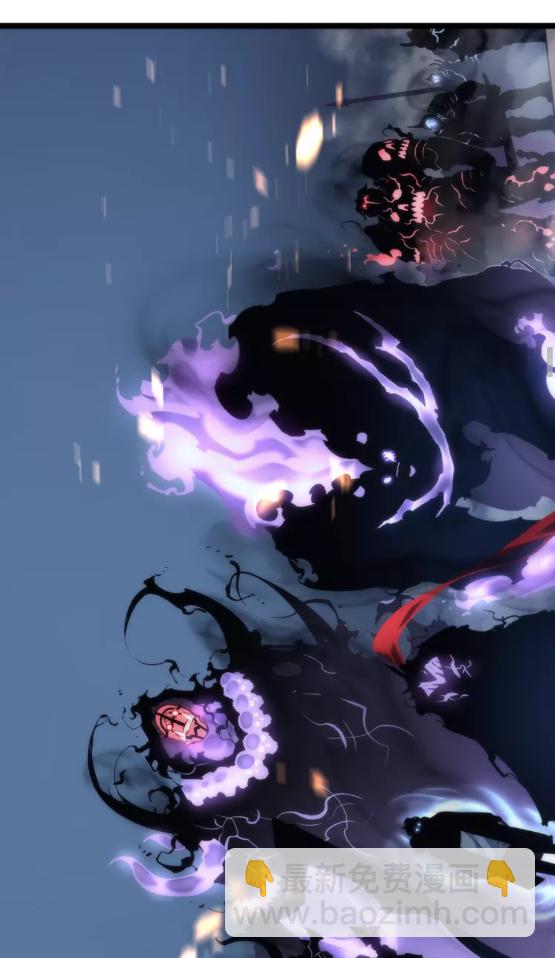 🍘我独自升级 第101话 王与王 第30页