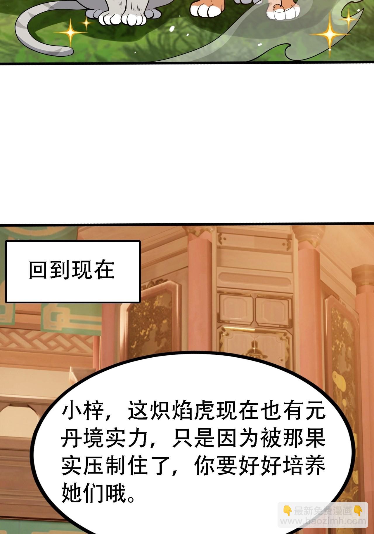 第二十八话：猫咪与机缘(1/2)-第30话