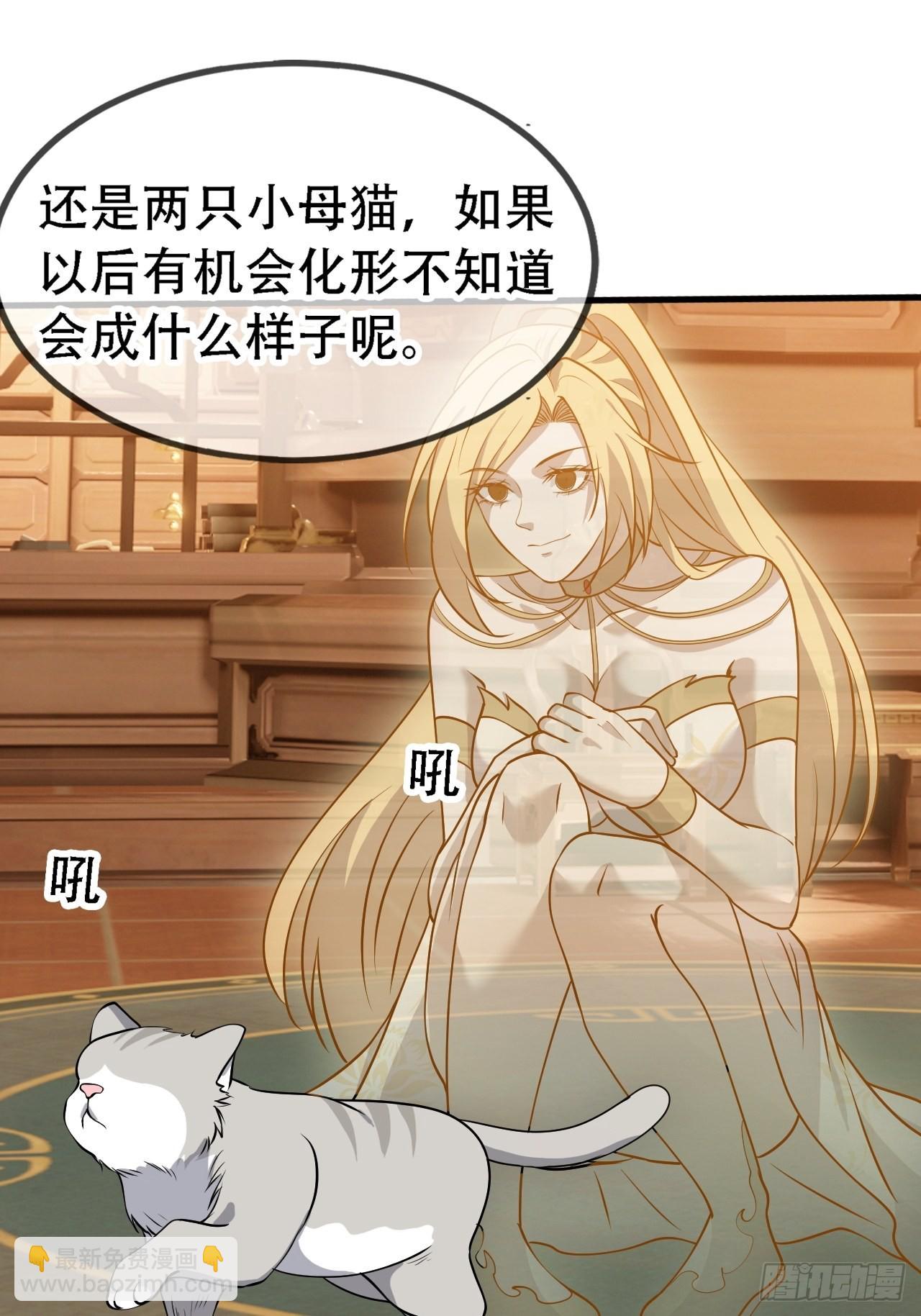 第二十八话：猫咪与机缘(1/2)-第30话