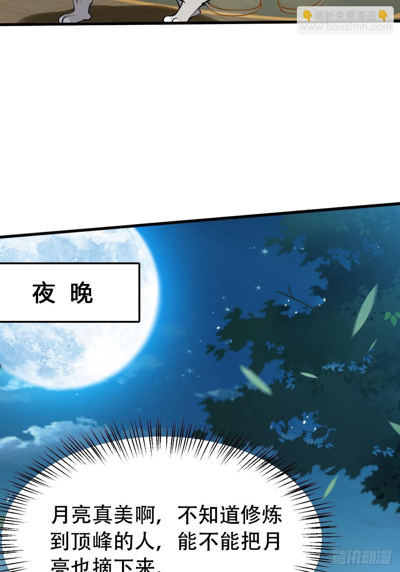 第二十八话：猫咪与机缘(1/2)-第30话