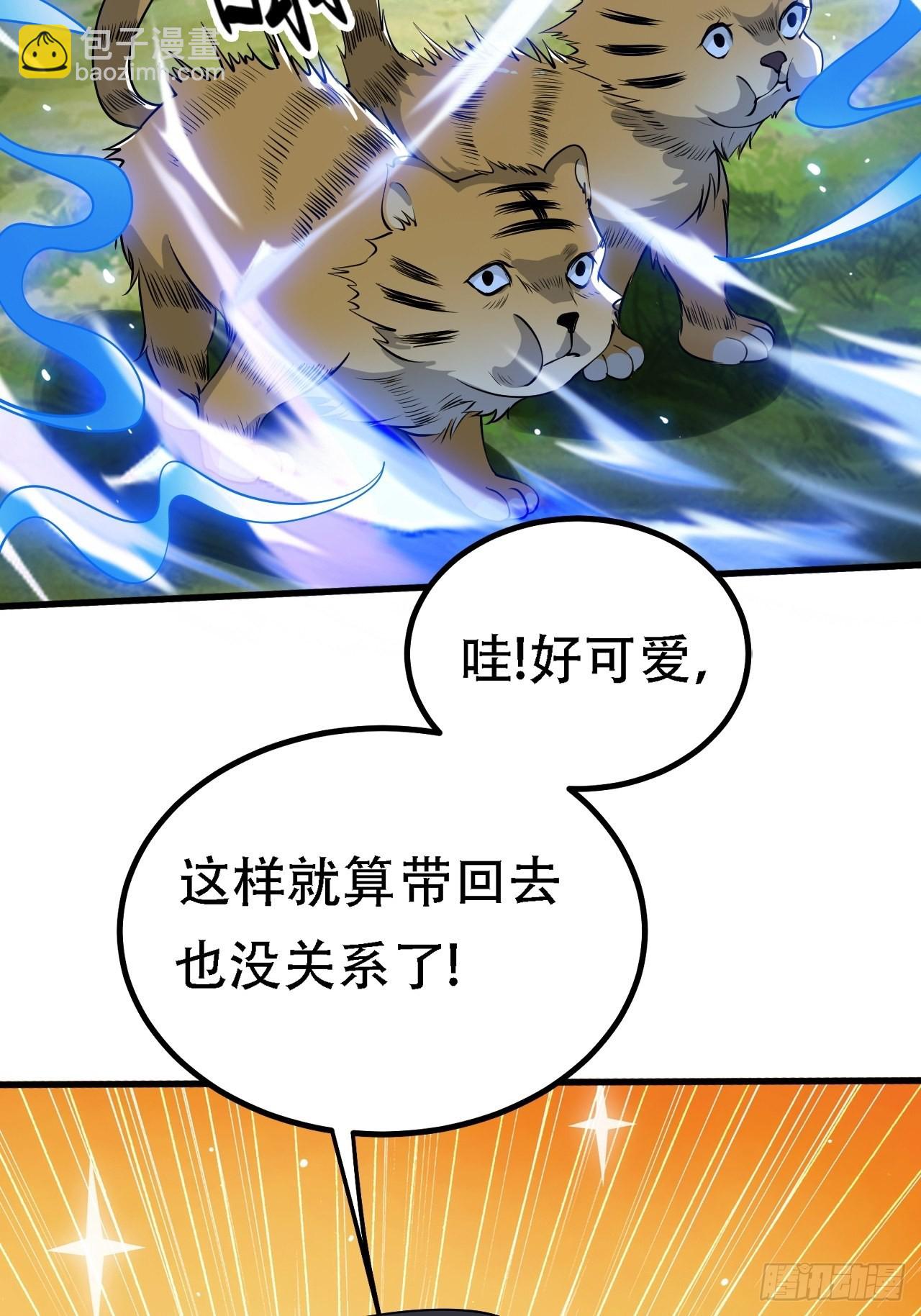 第二十八话：猫咪与机缘(1/2)-第30话