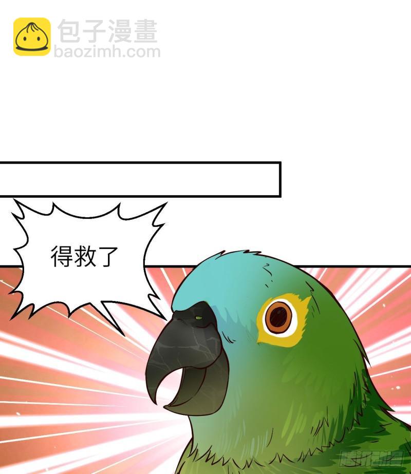🍘我和妹子们的荒岛余生 174 族人的下落 第10页