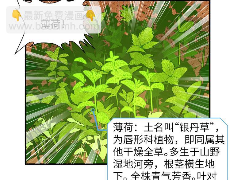 🍘我和妹子们的荒岛余生 第9话 椰子蟹 第19页