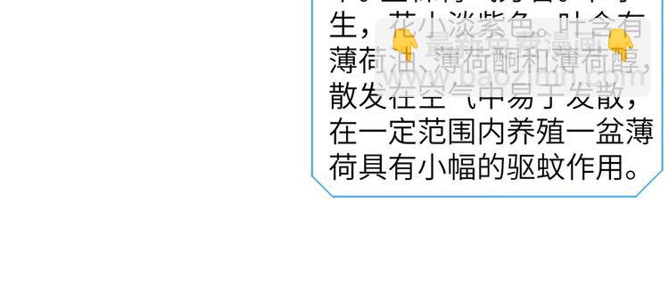 🍘我和妹子们的荒岛余生 第9话 椰子蟹 第20页