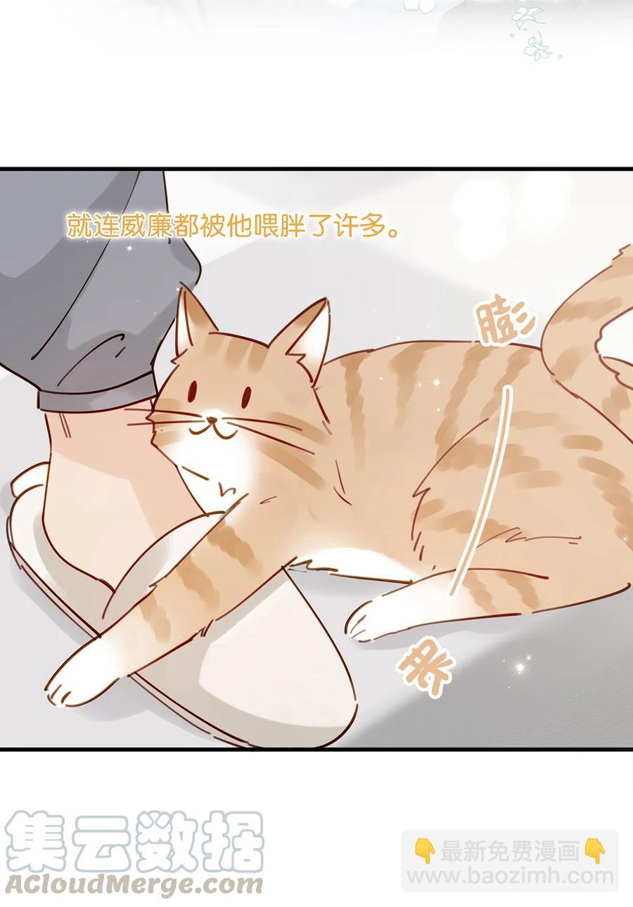 番外 一周年漫画独家专属番外(1/2)-第50话