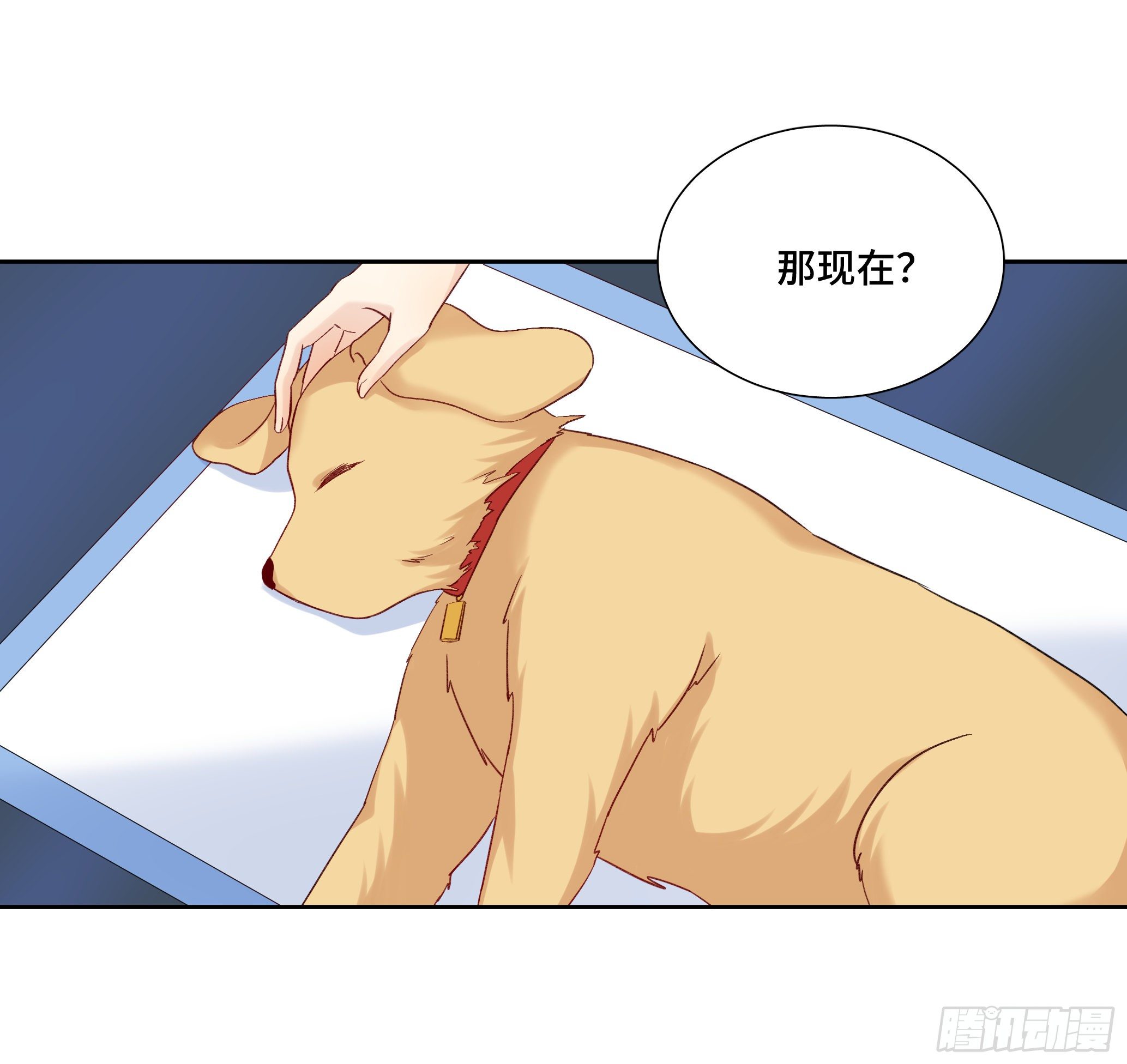 本能反应 第23话-意外-第46话
