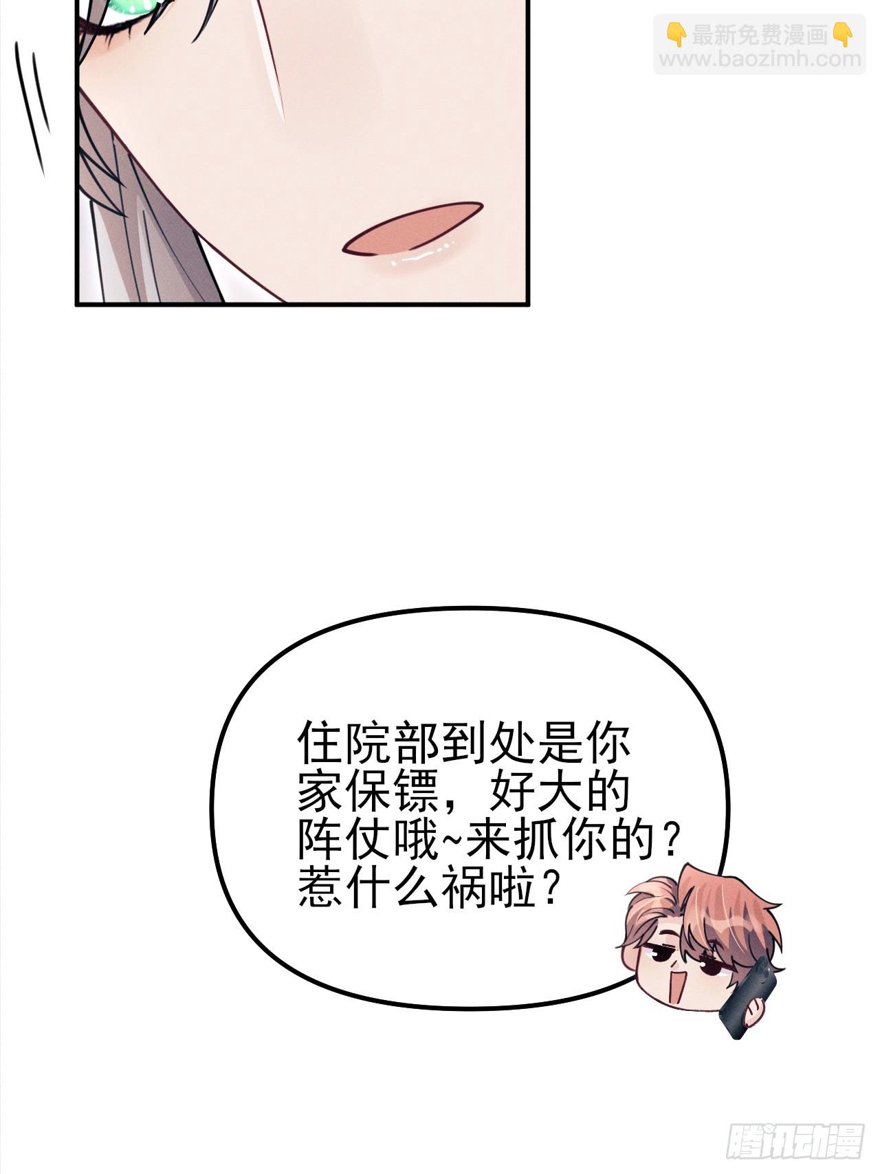 203.带小猫回家咯~(1/2)-第216话