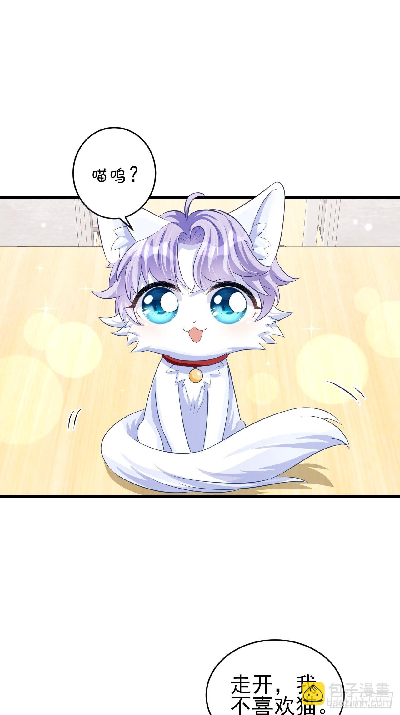 随机掉落的番外-猫咪-第50话