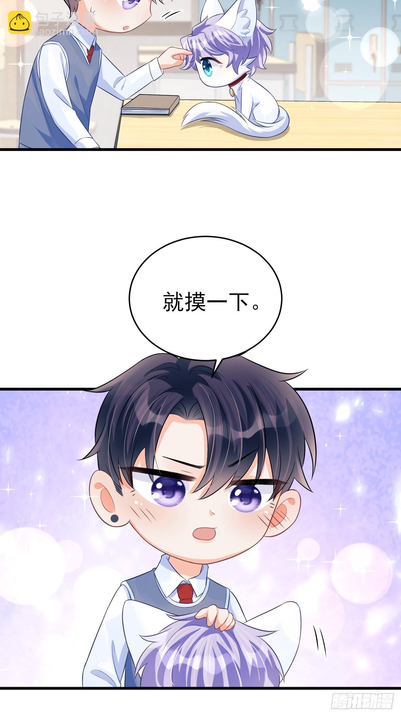 随机掉落的番外-猫咪-第50话