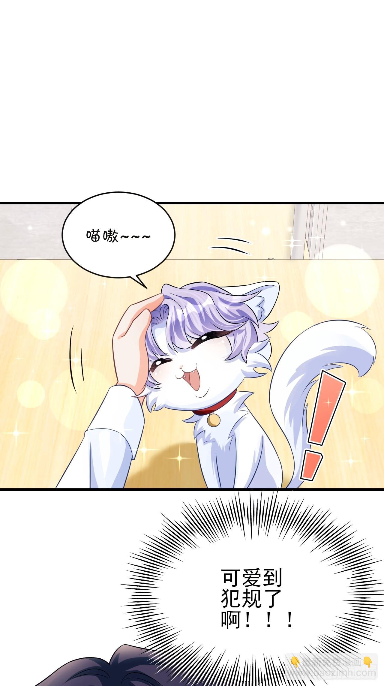 随机掉落的番外-猫咪-第50话