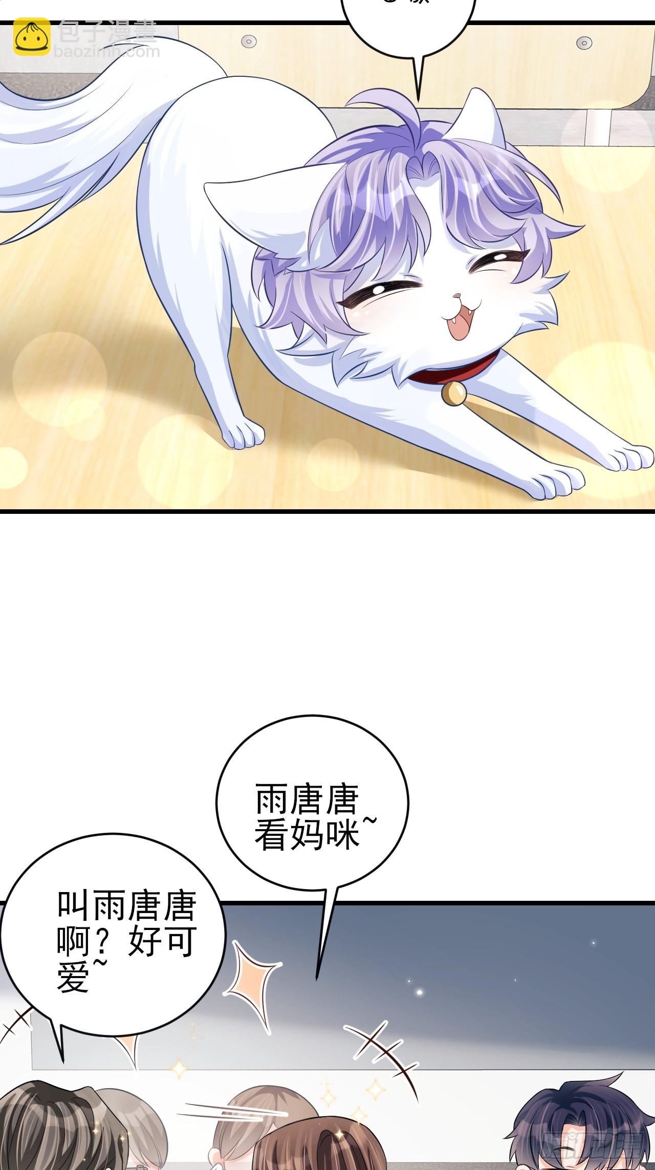 随机掉落的番外-猫咪-第50话