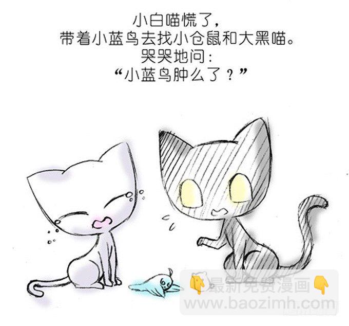 🍘我家大师兄脑子有坑 番外：飞星喵4.我好喜欢小蓝鸟的 第5页