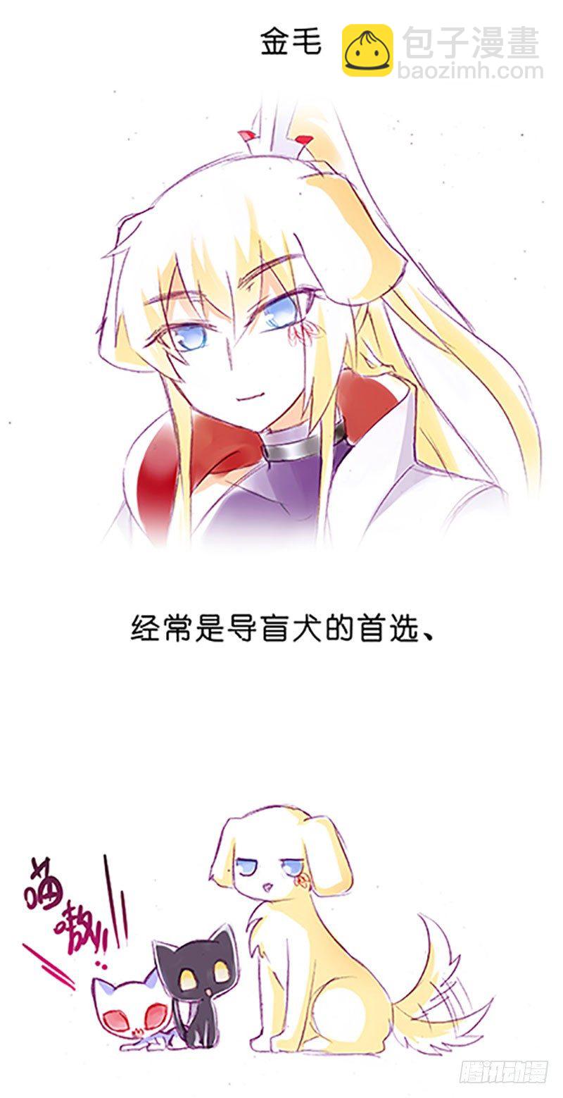 🍘我家大师兄脑子有坑 番外：飞星喵6-15合集 第11页