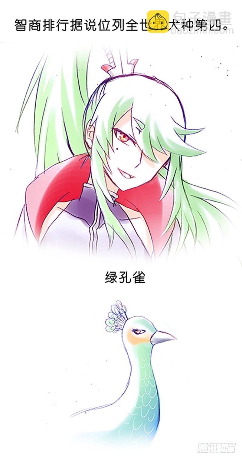 🍘我家大师兄脑子有坑 番外：飞星喵6-15合集 第12页