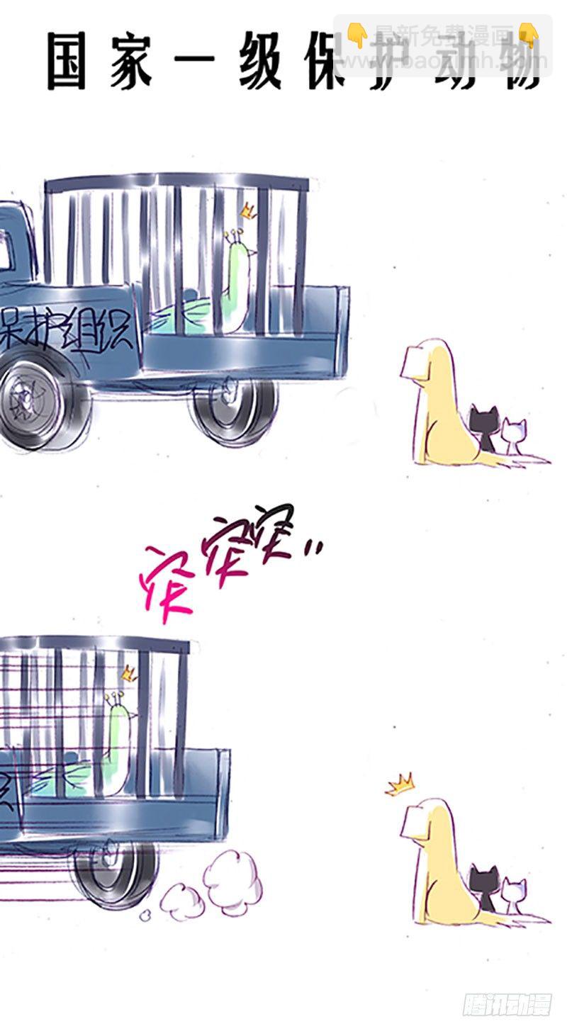 🍘我家大师兄脑子有坑 番外：飞星喵6-15合集 第13页
