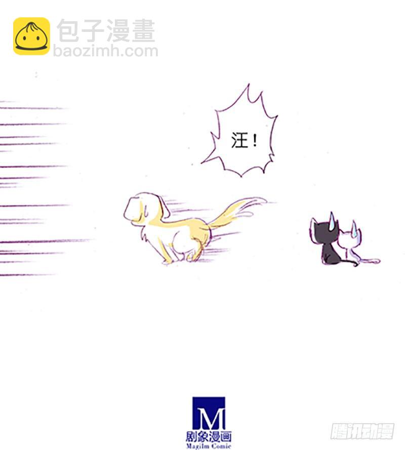 🍘我家大师兄脑子有坑 番外：飞星喵6-15合集 第14页