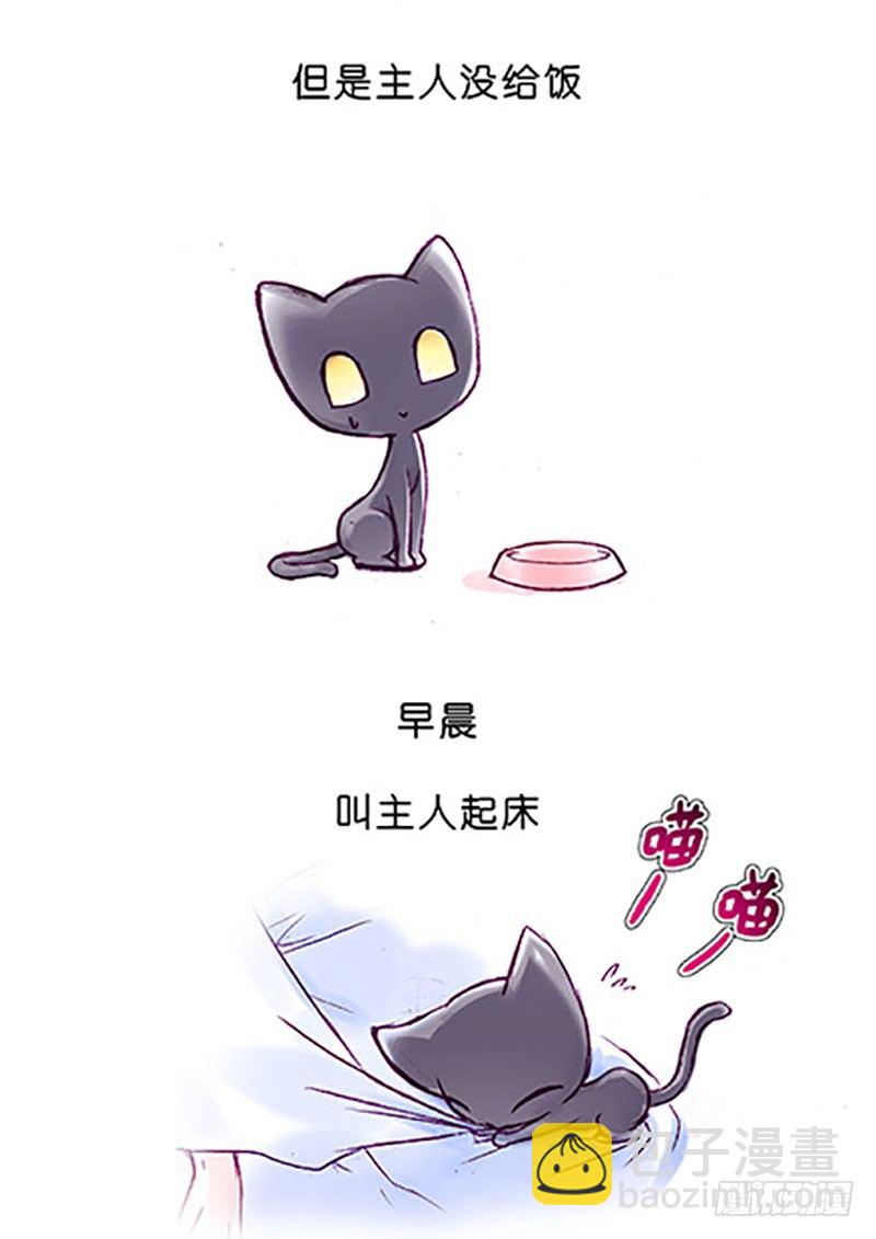 🍘我家大师兄脑子有坑 番外：飞星喵6-15合集 第22页