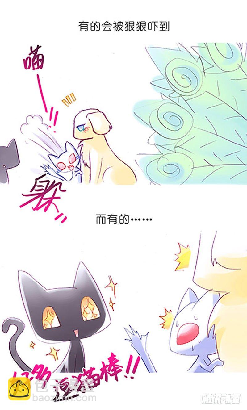🍘我家大师兄脑子有坑 番外：飞星喵6-15合集 第33页