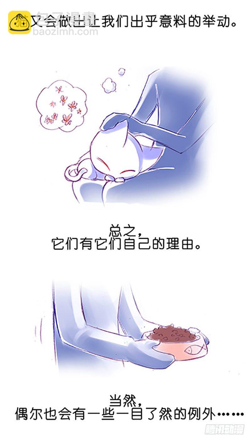 🍘我家大师兄脑子有坑 番外：飞星喵6-15合集 第6页