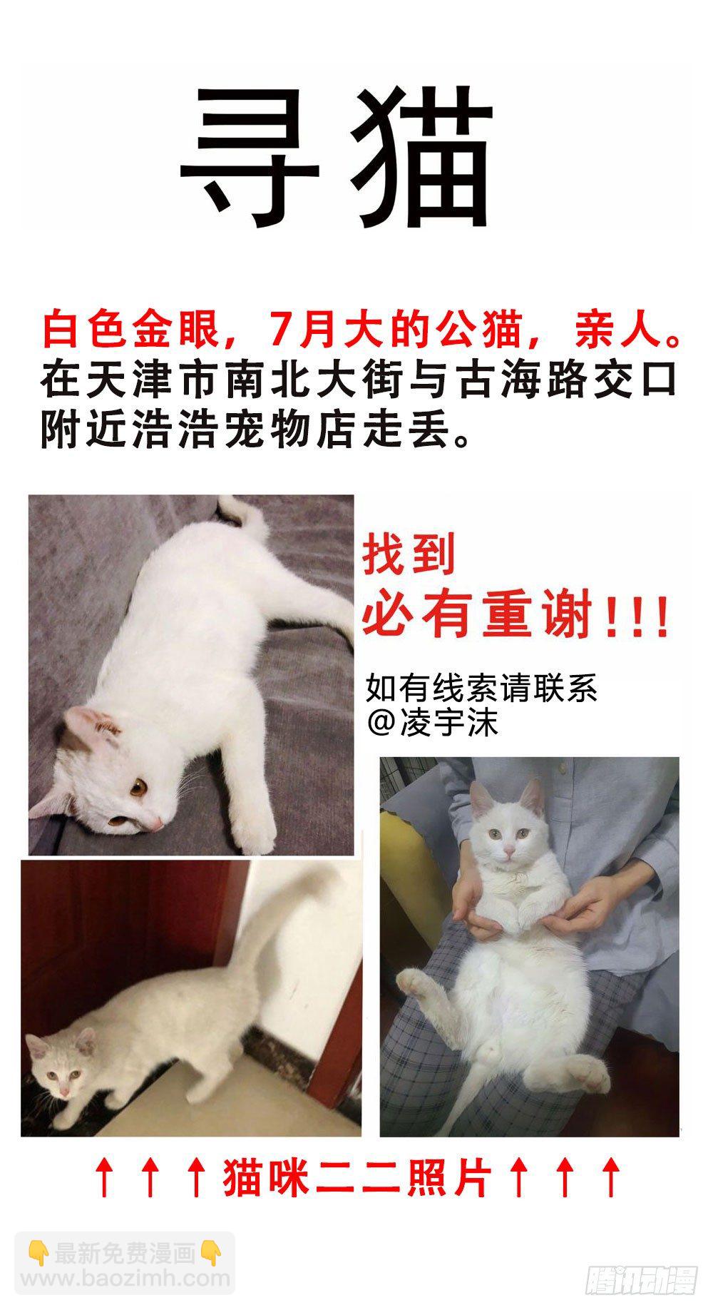 🍘我家大师兄脑子有坑 寻猫启示 第2页