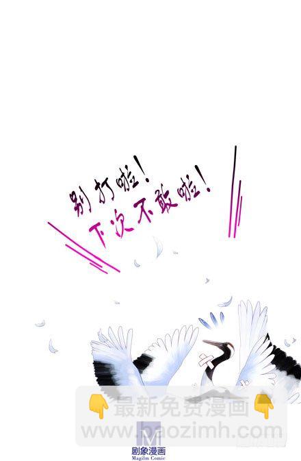 🍘我家大师兄脑子有坑 第52坑 我回来了 第19页