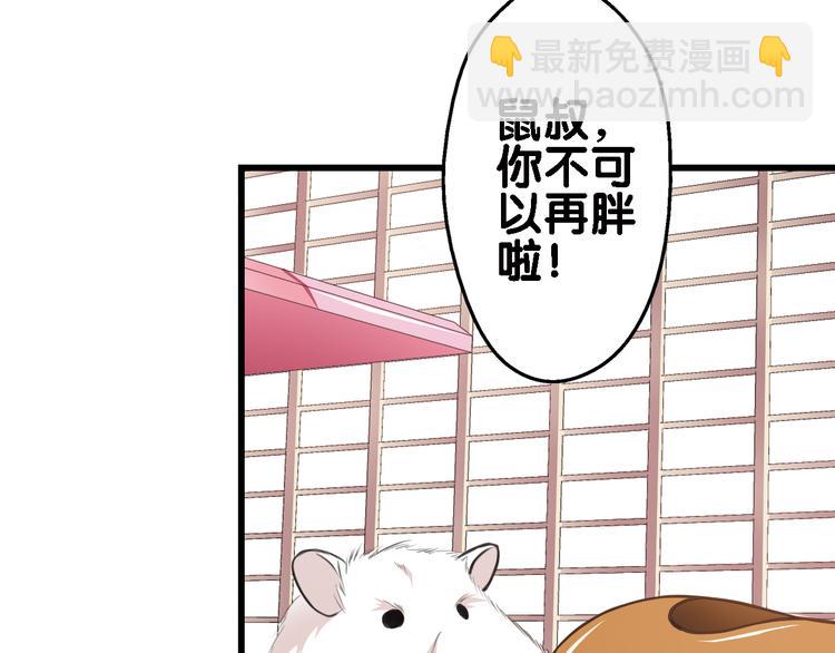 第1话 一日之计在于晨(1/2)-第2话
