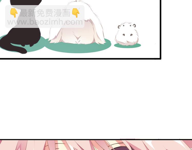第3话 狗狗的饲养方法(1/2)-第4话