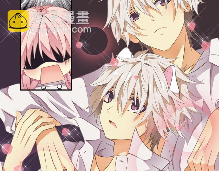 第3话 狗狗的饲养方法(1/2)-第4话