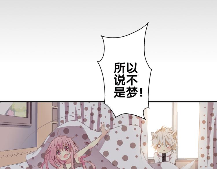 第3话 狗狗的饲养方法(1/2)-第4话