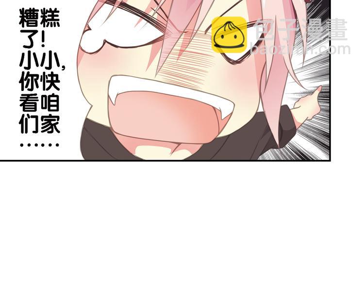 第3话 狗狗的饲养方法(1/2)-第4话