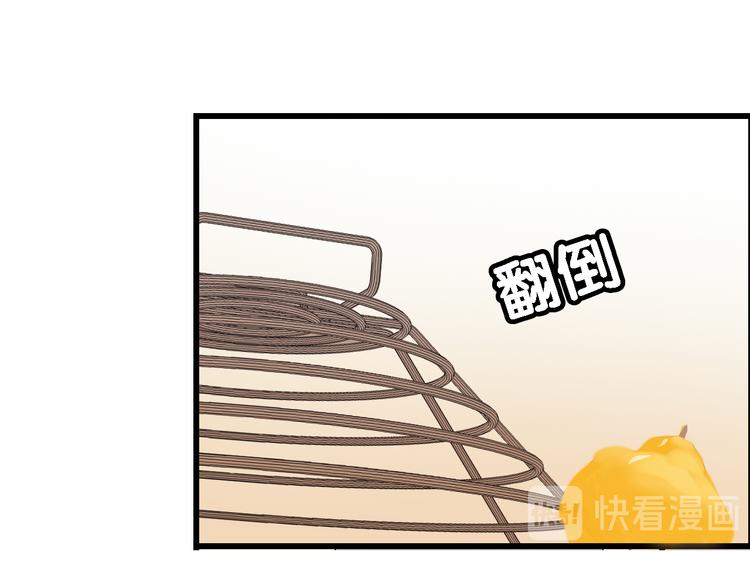 第3话 狗狗的饲养方法(1/2)-第4话