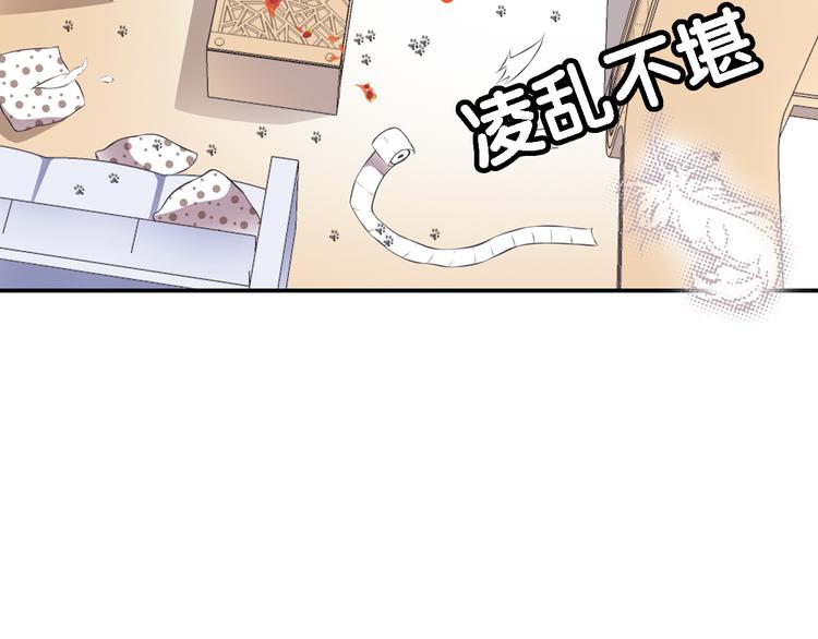第3话 狗狗的饲养方法(1/2)-第4话