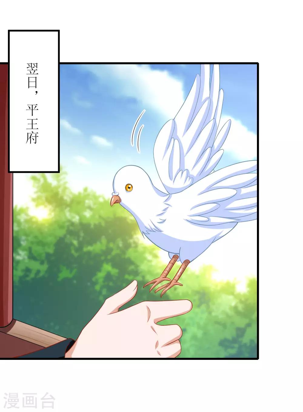 第49话-第50话