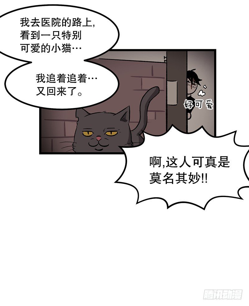 同样的套路-第14话