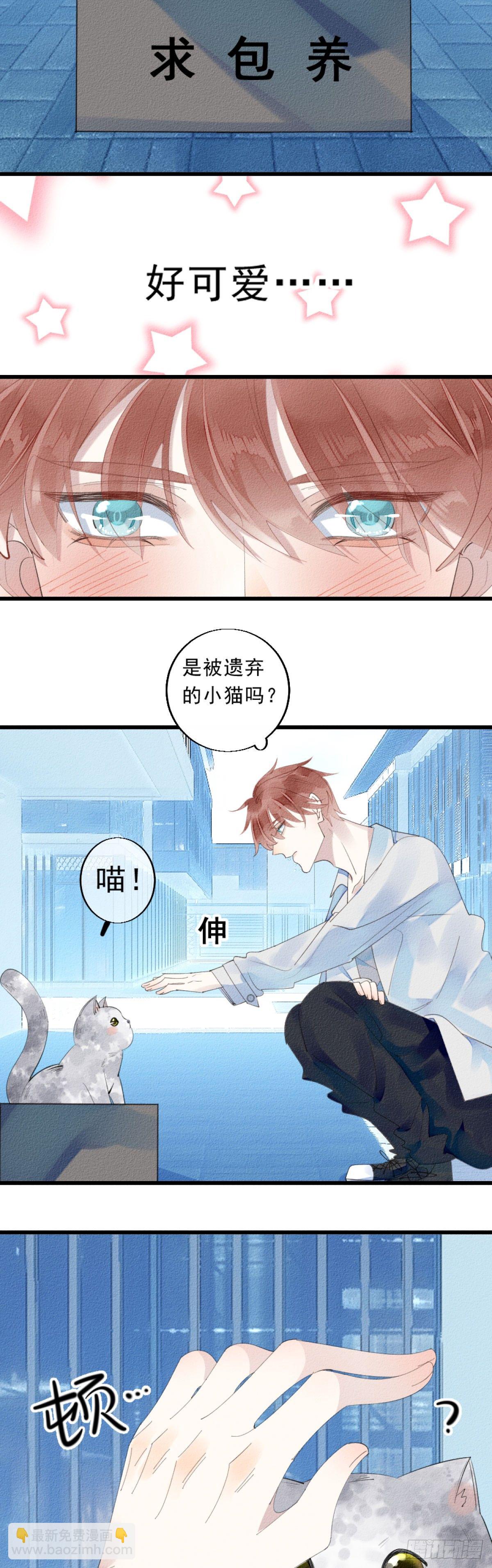 1.路遇一只小猫-第2话