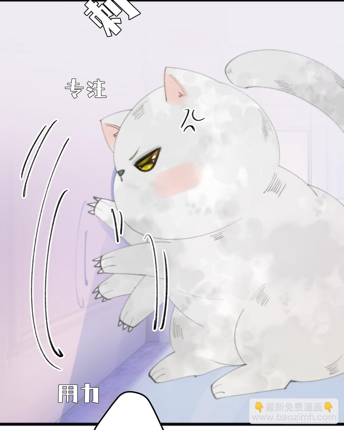 113.送你花花(1/2)-第124话