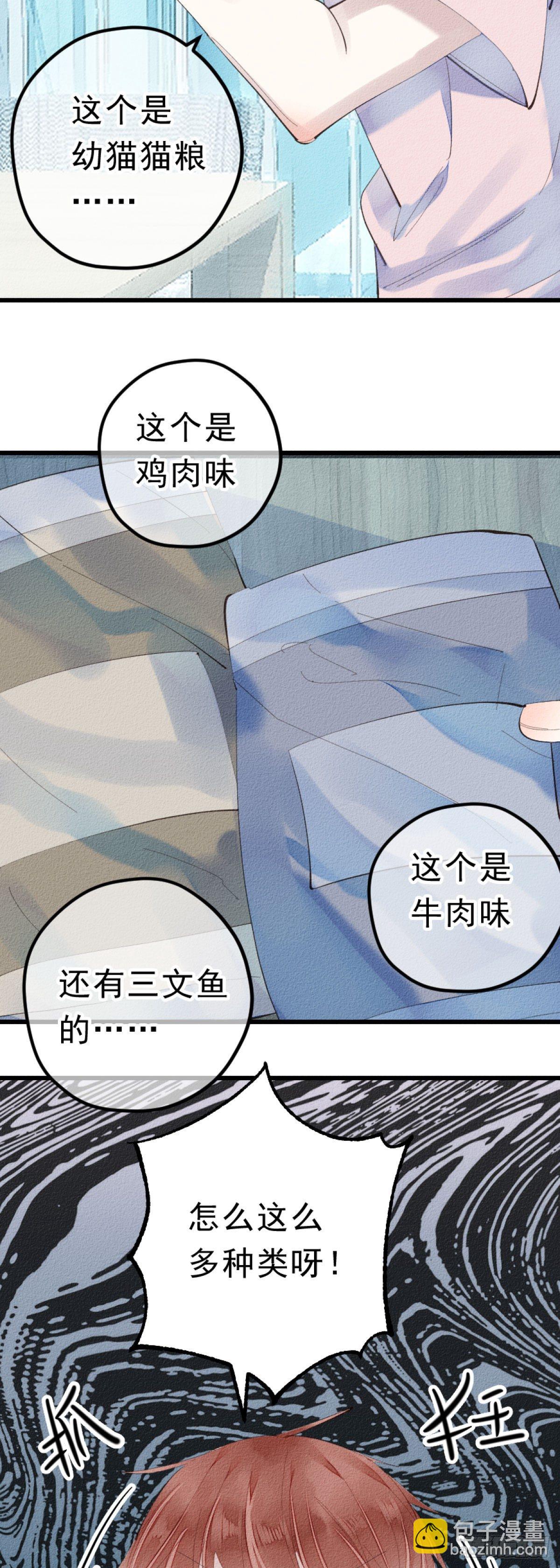 5.终于把小猫咪拐回家了！-第6话